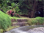 Hiva Oa_IMGP1624